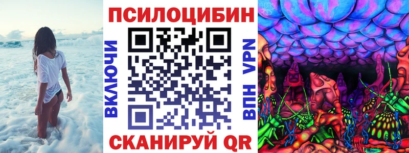 Галлюциногенные грибы Psilocybe Купить где Назарово